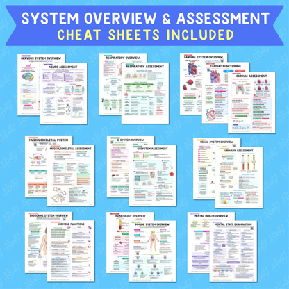 Nursing School Success Bundle - 2026 Edition